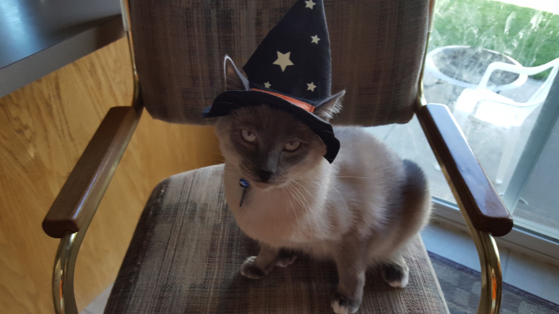 Django
